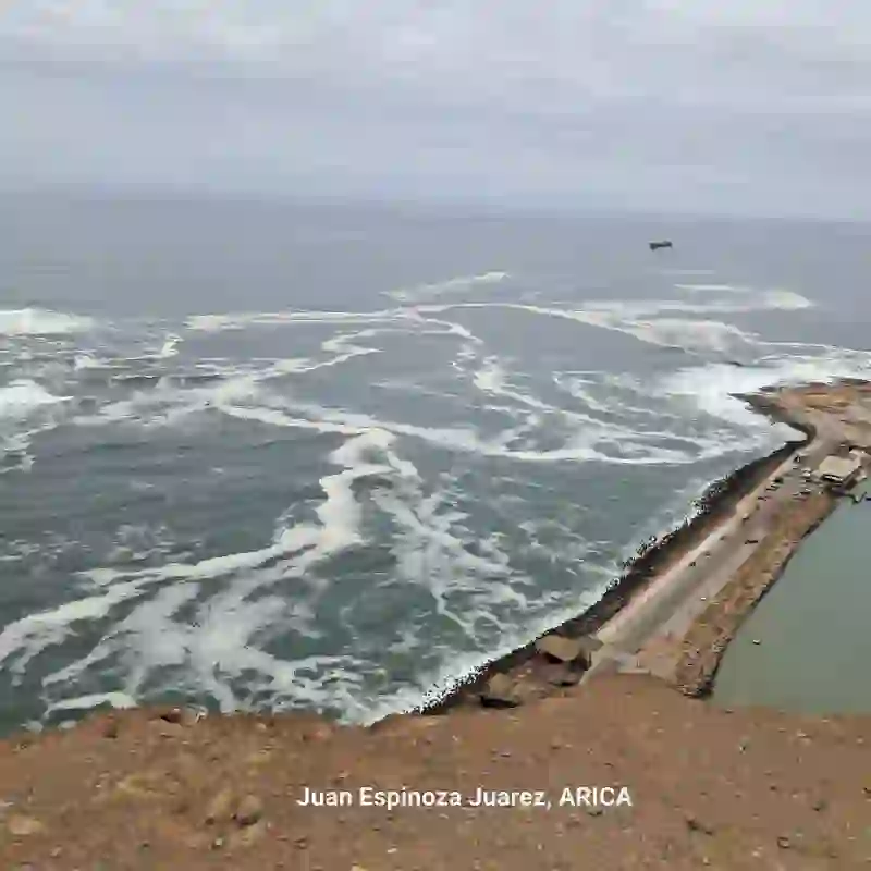 Guía Arica