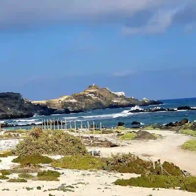 Guía Coquimbo